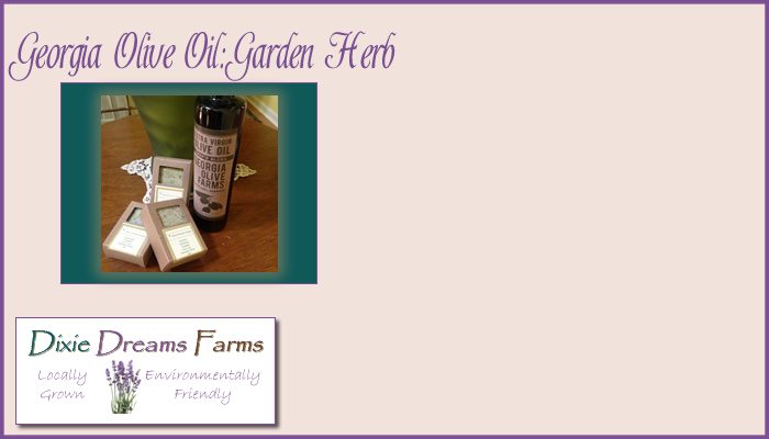 Georgia Olive Oil – Garden Herb