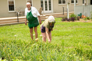 Working the garden