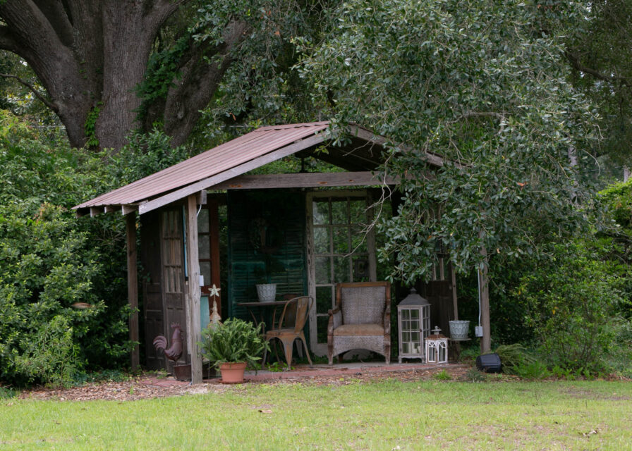 Dixie Dreams Farm